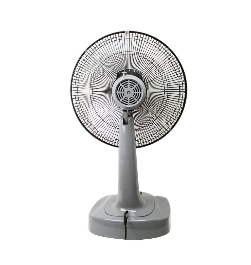 IF-977 ด้านหลัง_0